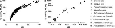 Application of Whole Genome Sequencing and Pan-Family Multi-Locus Sequence Analysis to Characterize Relationships Within the Family Brucellaceae